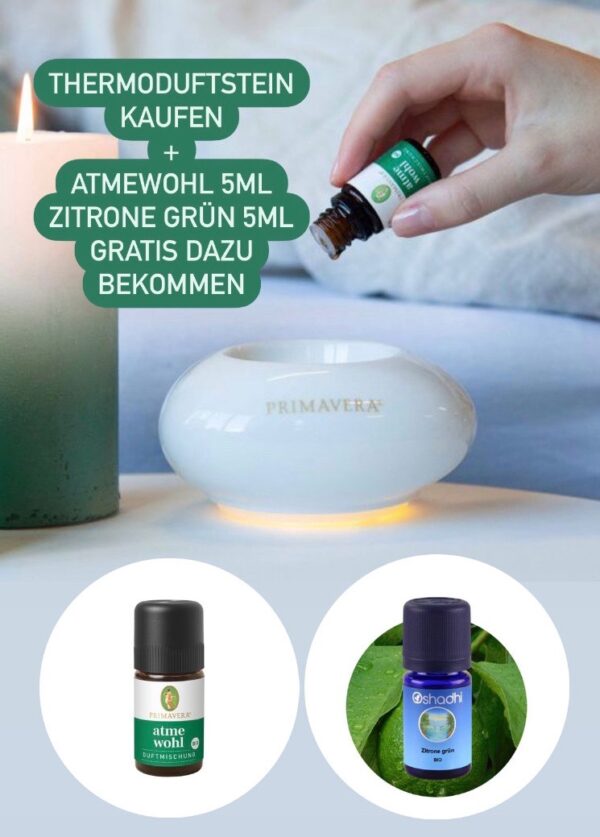 Primavera Aroma Thermoduftstein Simply Silent inklusive Öl gratis!