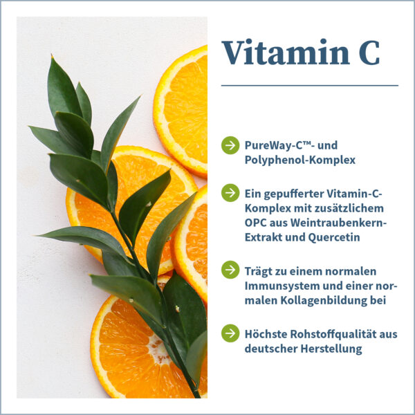 NatuGena Vitamin C vegan 90 Kapseln – Bild 5